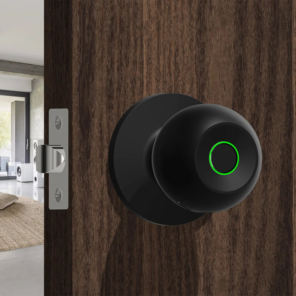 Electra Smart Door Knob