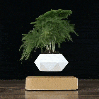 Electra Levitating Flower Pot