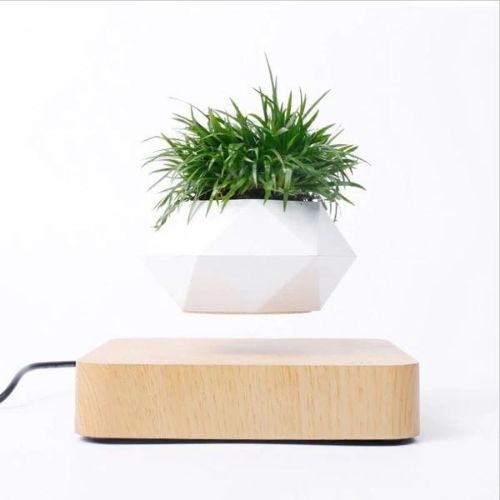 Electra Levitating Flower Pot