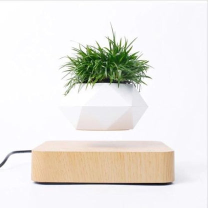 Electra Levitating Flower Pot