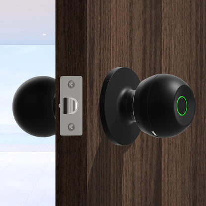 Electra Smart Door Knob