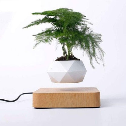 Electra Levitating Flower Pot