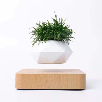 Electra Levitating Flower Pot