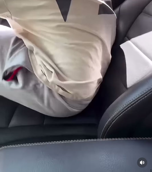 Electra Car Seat Cooling Cover