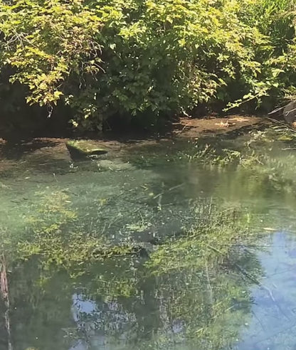 Electra Photochromic Tactical Polarized Sunglasses