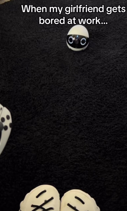 Electra Remote Camera Robot