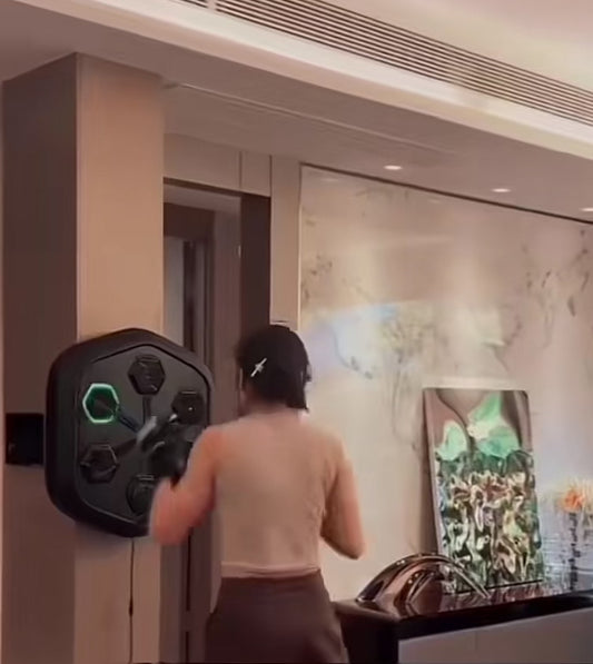 Electra Music Boxing Training Machine
